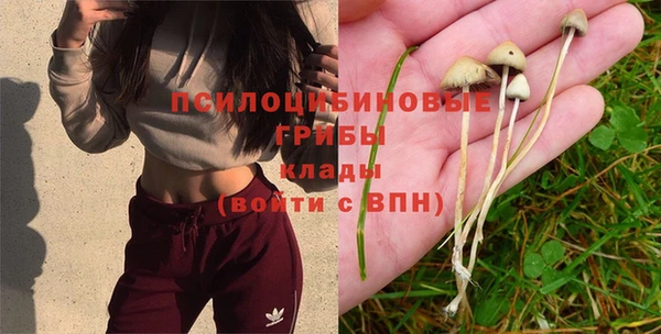 первитин Горнозаводск