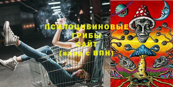 первитин Горнозаводск