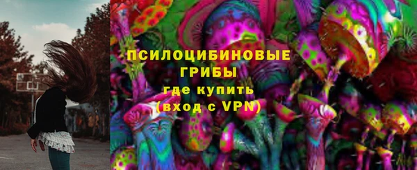дмт Горно-Алтайск