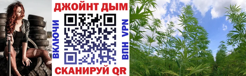 сколько стоит  Абакан  Шишки марихуана Amnesia 